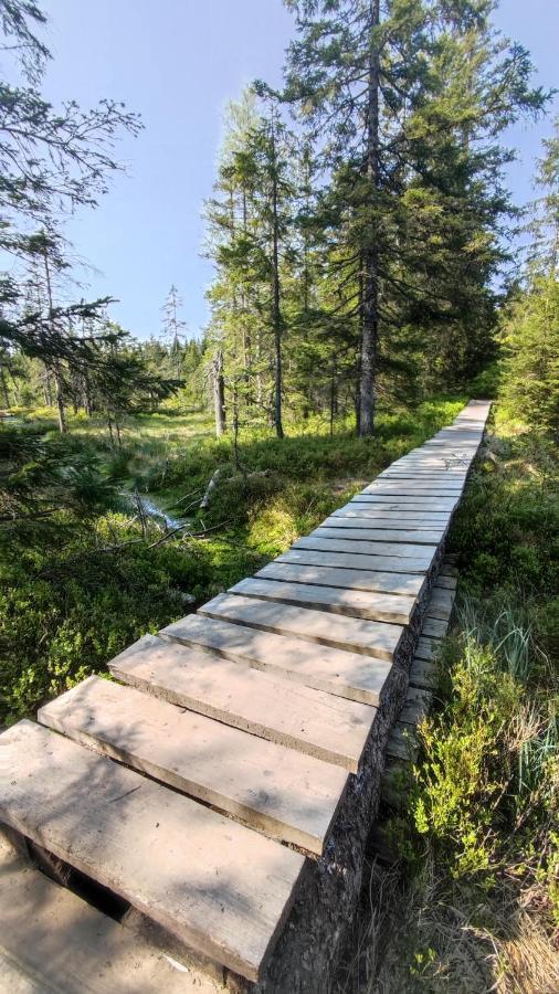 Am Berg Lejlighed Feldberg  Eksteriør billede