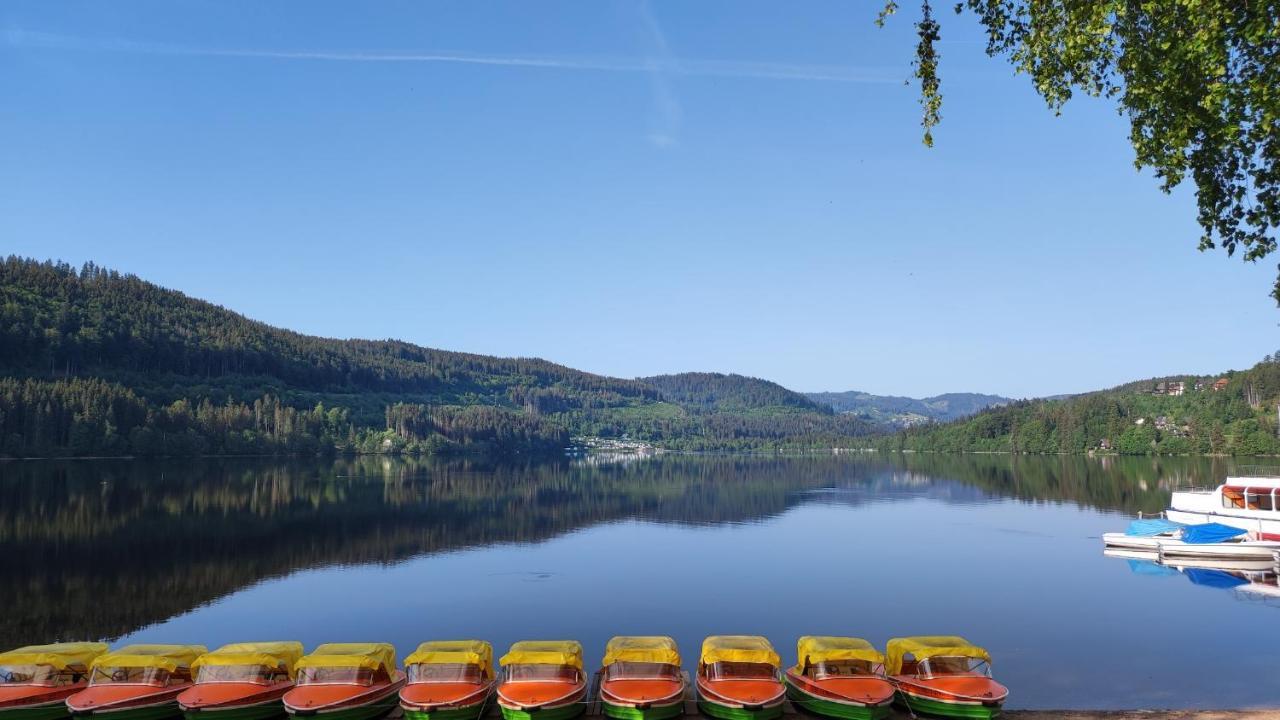 Am Berg Lejlighed Feldberg  Eksteriør billede