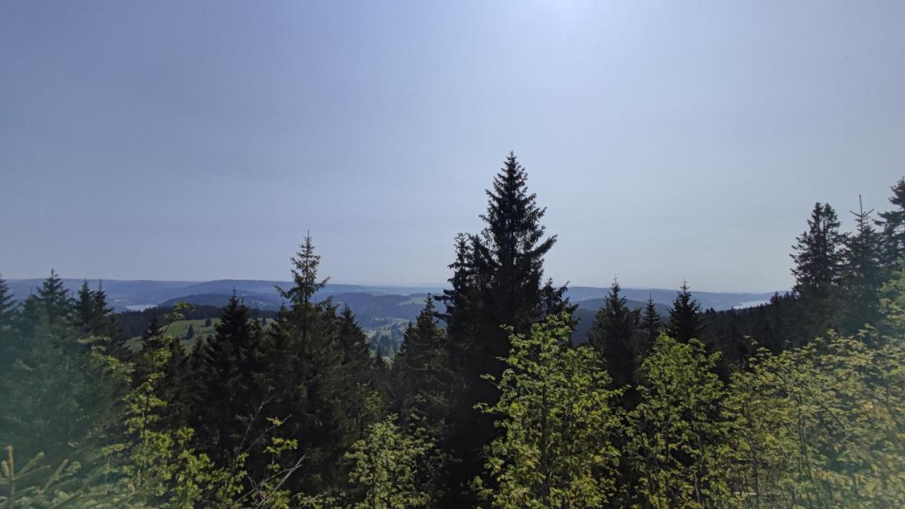 Am Berg Lejlighed Feldberg  Eksteriør billede