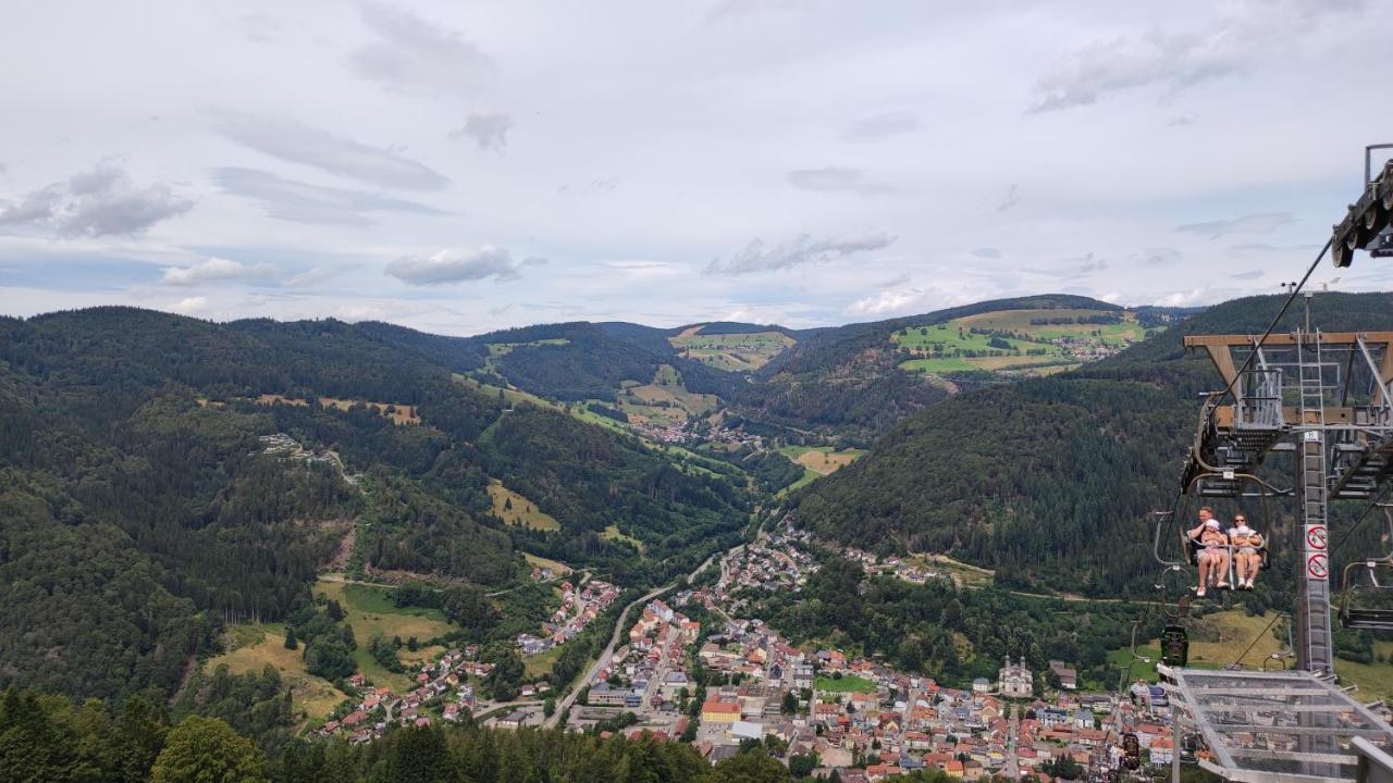 Am Berg Lejlighed Feldberg  Eksteriør billede