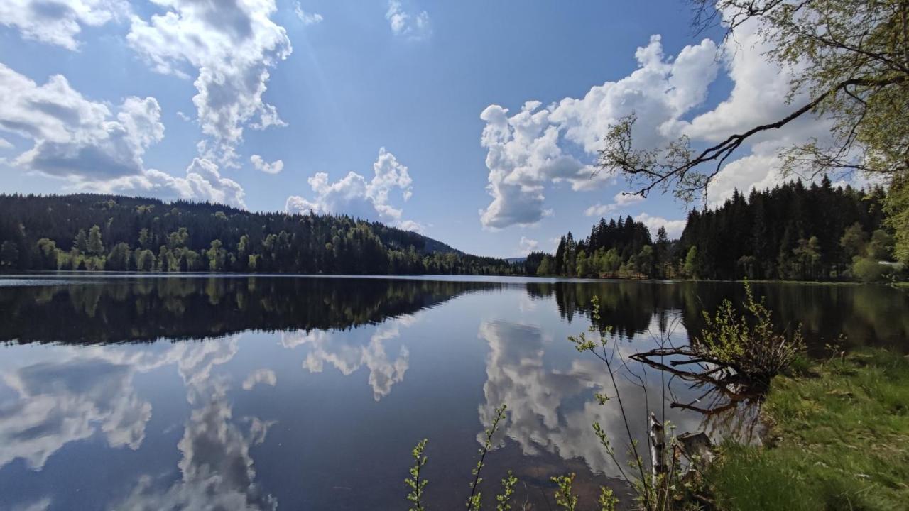 Am Berg Lejlighed Feldberg  Eksteriør billede
