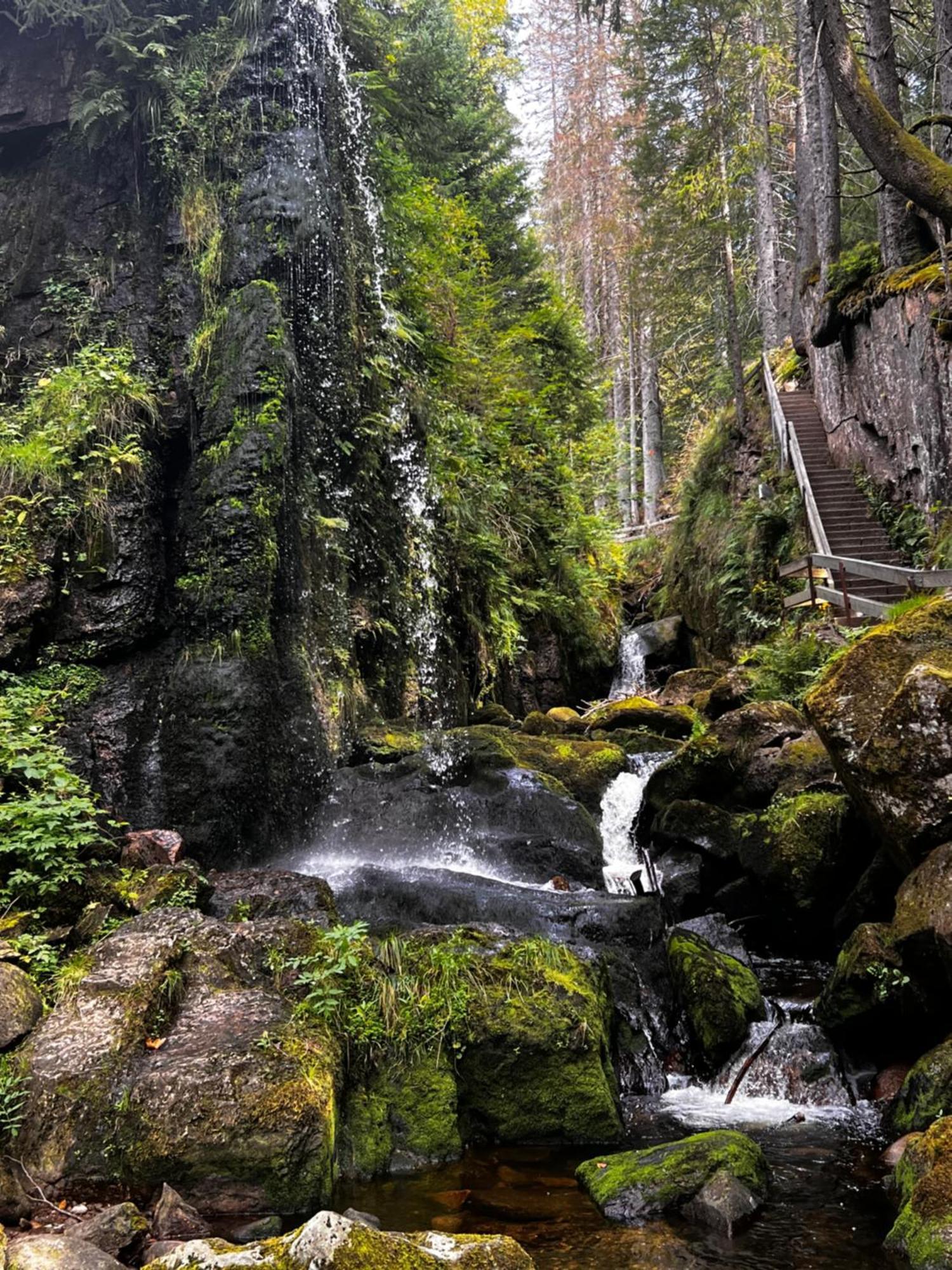 Am Berg Lejlighed Feldberg  Eksteriør billede