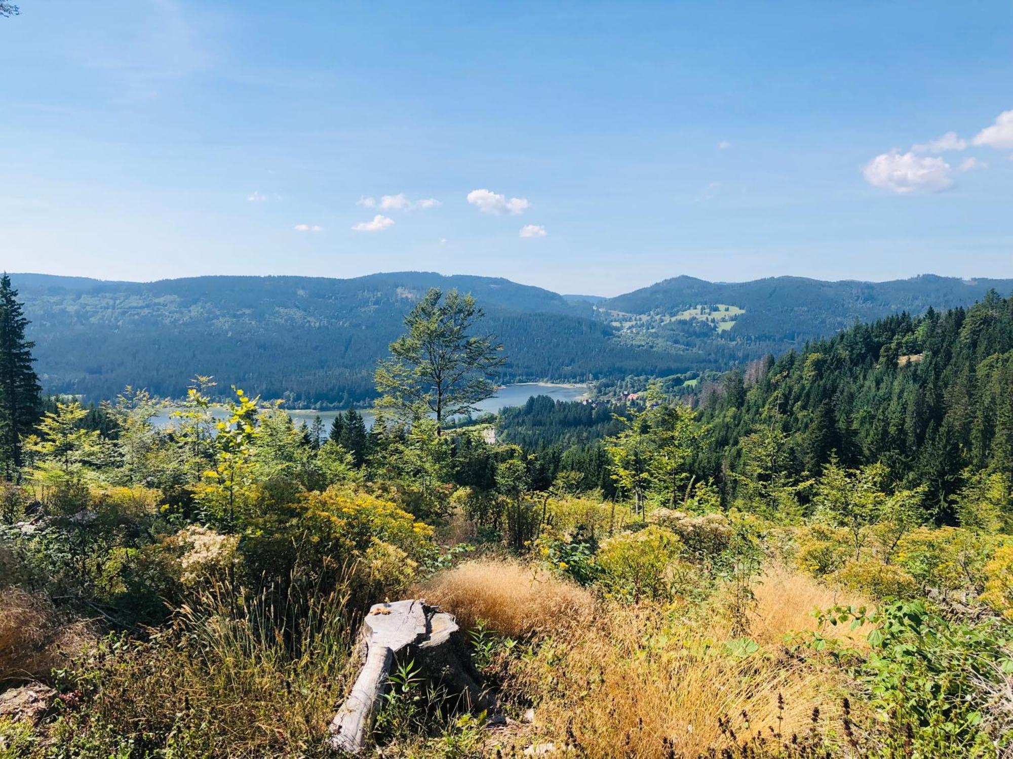 Am Berg Lejlighed Feldberg  Eksteriør billede